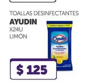 La Gallega Supermercados Toallas Desinfectantes Ayudin x 24u oferta