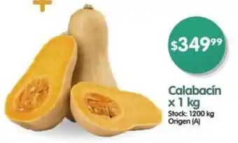 Supermercados Buenos Días Calabacín x 1kg oferta