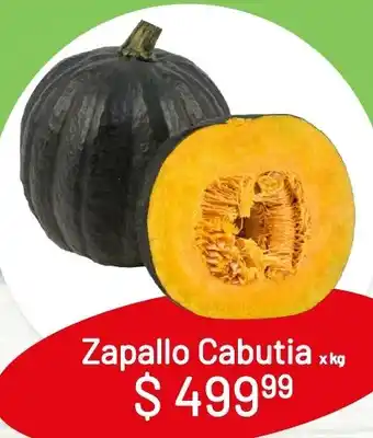 Makro Zapallo Cabutia x kg oferta