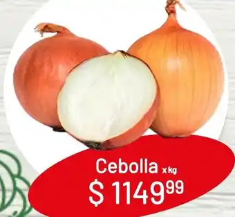 Makro Cebolla x kg oferta
