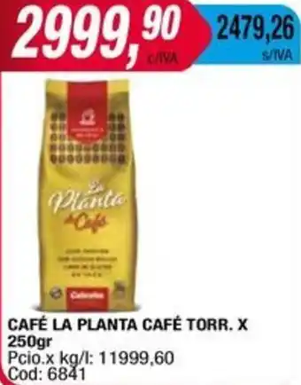 Maxiconsumo CAFÉ LA PLANTA CAFÉ TORR. x 250gr oferta