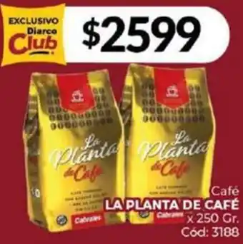 Diarco Café LA PLANTA DE CAFÉ x 250gr oferta