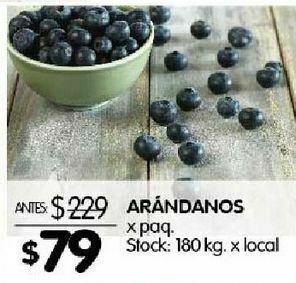 Disco Arándanos x paq oferta