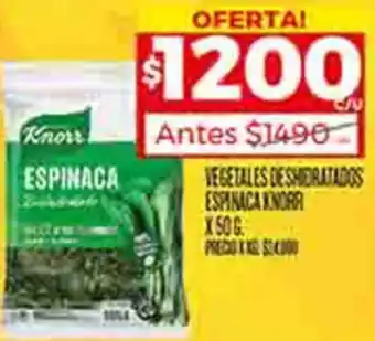 Supermercados DIA VEGETALES DESHIDRATADOS ESPINACA KNORR X 50G oferta