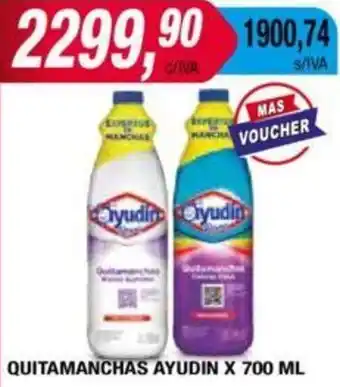 Maxiconsumo QUITAMANCHAS AYUDIN X 700ML oferta
