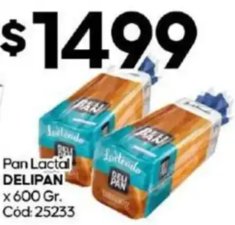 Diarco Pan Lactal DELIPAN x 600gr oferta
