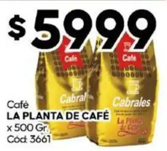 Diarco Café LA PLANTA DE CAFÉ x 500gr oferta