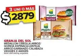 Carrefour Maxi Granja del sol - medallon cebolla arroz oferta