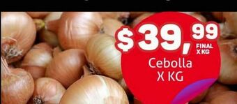 Makro Cebolla x kg oferta