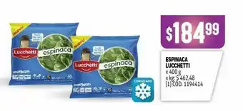 Makro Espinacas congeladas lucchetti oferta