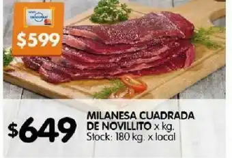 Disco Milanesa cuadrada de novillito oferta