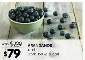 Disco Arándanos cubeta 150 gr oferta
