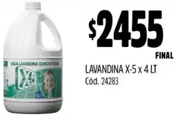 Supermercados Yaguar LAVANDINA X-5 x 4LT oferta