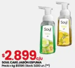Changomas SOUL CARE JABÓN ESPUMA oferta