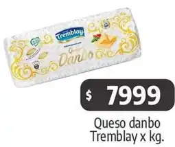 Autoservicio Capo Queso danbo Tremblay x kg oferta