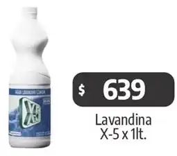 Autoservicio Capo Lavandina X-5 x 1lt oferta