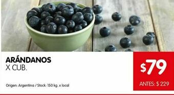 Disco Arándanos x cubeta oferta