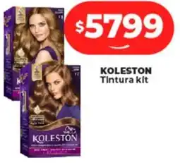 Supermayorista Vital KOLESTON Tintura kit oferta