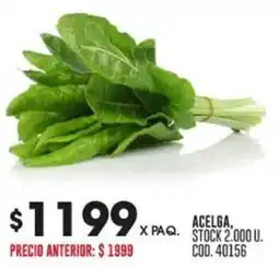Coto ACELGA oferta