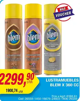 Maxiconsumo LUSTRAMUEBLES BLEM X 360 CC oferta