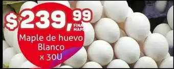 Makro Maple de huevo blanco x 30u oferta