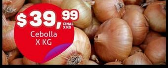 Makro Cebolla x kg oferta