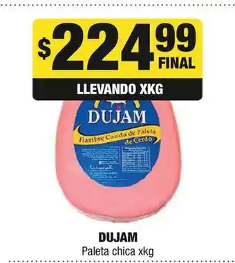 Maxi Ofertas Dujam Paleta chica xkg oferta