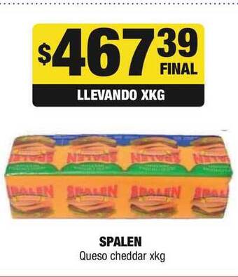 Maxi Ofertas Spalen Queso cheddar xkg oferta