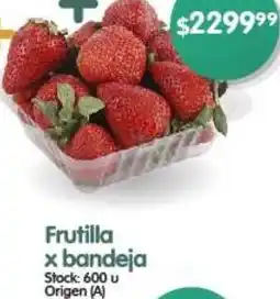 Supermercados Buenos Días Frutilla x bandeja oferta