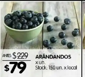 Disco Arándanos x paq oferta