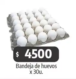 Autoservicio Capo Bandeja de huevos oferta