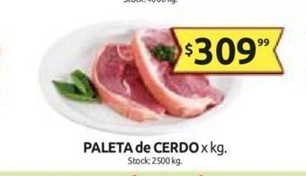 Cordiez Paleta de Cerdo x kg oferta