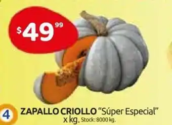 Cordiez Zapallo Criollo Super Especial x kg oferta
