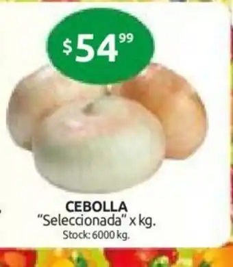 Cordiez Cebolla Seleccionada x kg oferta