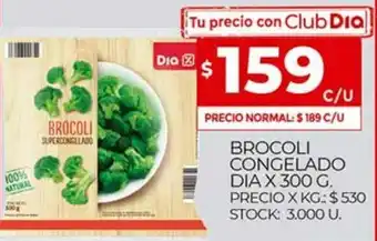 Supermercados DIA Brocoli Congelado Dia x 300g oferta