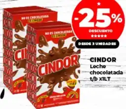 Supermayorista Vital CINDOR Leche chocolatada t/b oferta