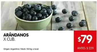 Arándanos x cubeta