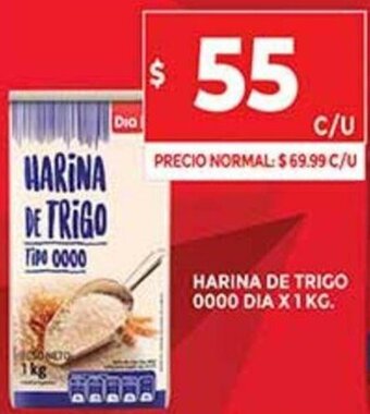 Supermercados DIA Harina de Trigo 0000 Dia x 1 Kg. oferta