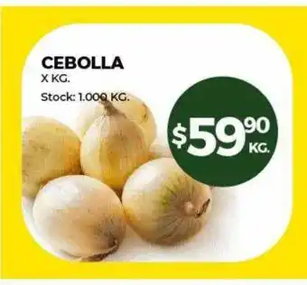 Cebolla