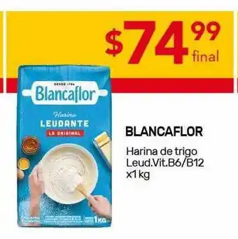 Nini Mayorista Blancaflor Harina De Trigo Leud.vit.b6-b12 x 1kg oferta