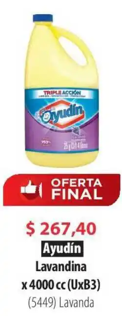 Parodi Ayudín Lavandina X 4000 Cc oferta