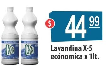 Autoservicio Capo Lavandina X-5 ecónomica x 1lt. oferta