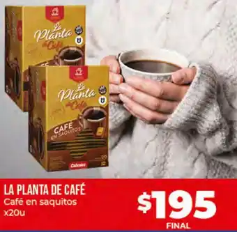 Supermayorista Vital La Planta de Café Café en Saquitos x 20u oferta