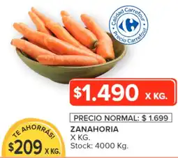 Carrefour ZANAHORIA oferta