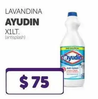 La Gallega Supermercados Lavandina Ayudin x 1lt oferta