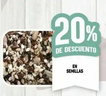 Makro Semillas oferta