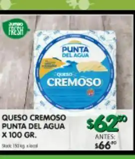 Jumbo Queso cremoso punta del agua x 100gr oferta