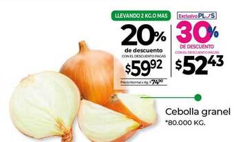 La Anonima Cebolla Granel oferta