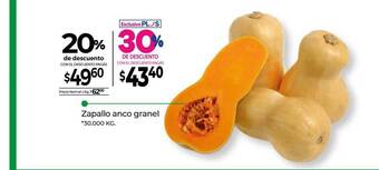 La Anonima Zapallo Anco Granel oferta