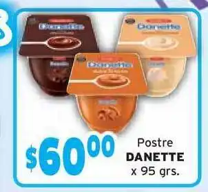 Danette Postre x 95grs.